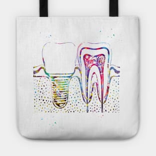 Human teeth and dental implant Tote