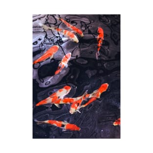 Koi Fish Galaxy T-Shirt