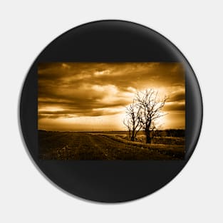 Two Trees Sepia Fields Pin