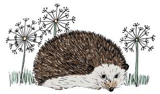 Hedgehog Magnet