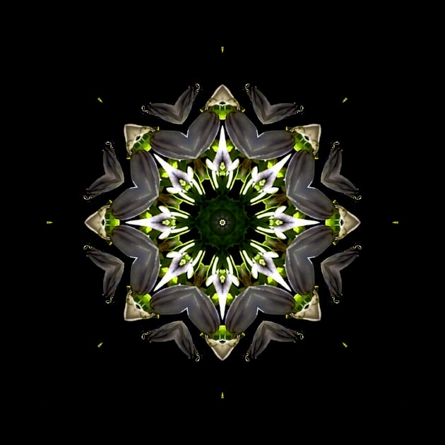 Mandala Kaleidoscope in Dark Shades by Crystal Butterfly Creations