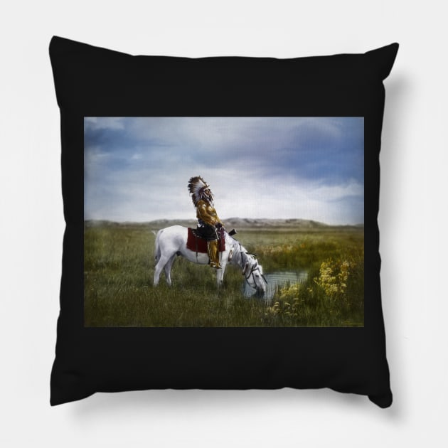 An oasis in the Badlands Pillow by MikaelJenei