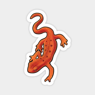 Red Spotted Newt 1 Magnet