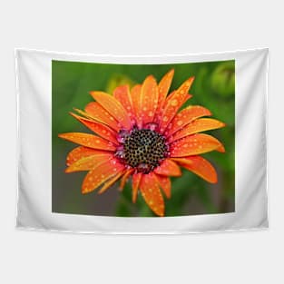 Orange Daisy Tapestry