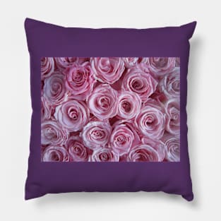 Paris Pink Roses Pillow