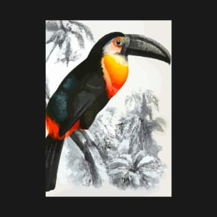 Tucan in Black White Jungle T-Shirt