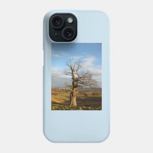 Old Oak Tree Phone Case