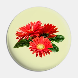 Red Gerbera Daisy Trio Pin