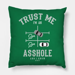 Trust me Im an Asshole Pillow