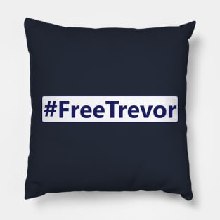 #FreeTrevor Design Pillow