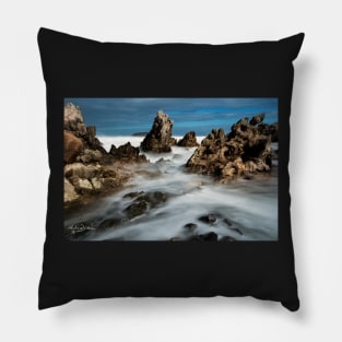 Petrel Cove Pillow