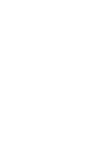 Planet of the Apes line art Magnet