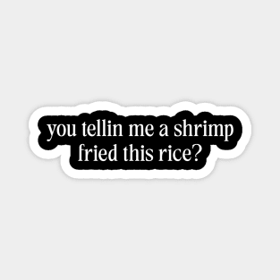 You Tellin Me a Shrimp Fried This Rice? Funny Sarcastic Meme Y2k Magnet