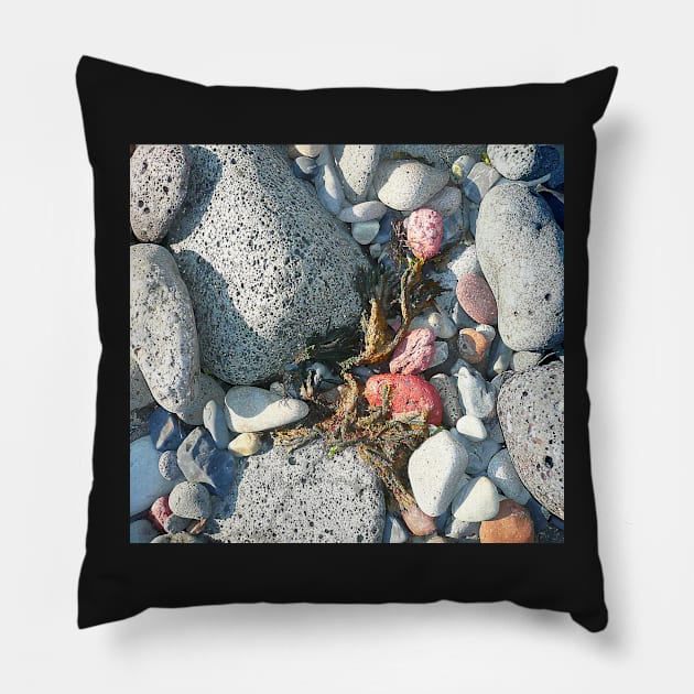 Rocks and Seaweed stilllife Pillow by rozmcq