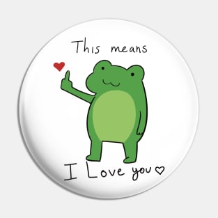 Lovely frog Pin