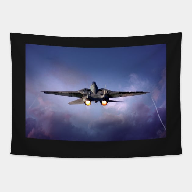 Tomcat Takes Flight Tapestry by aviationart