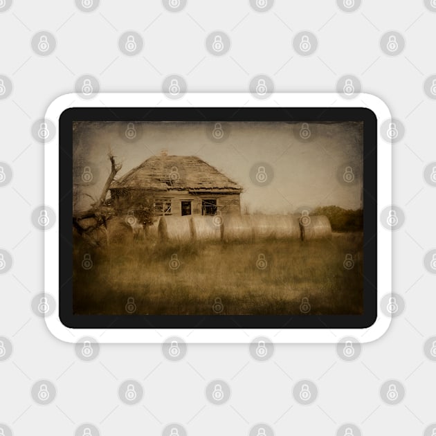 Abandoned On The Prairie photograph Magnet by art64