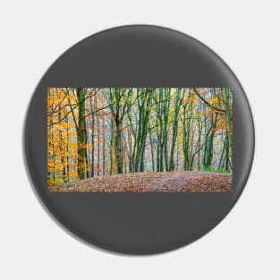 Autumn Woods Pin