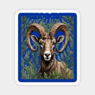 Nevada Desert Bighorn Sheep And Sagebrush 3 Magnet