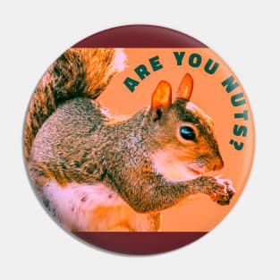 Are You Nuts?  Funny Squirrel Picture Pin