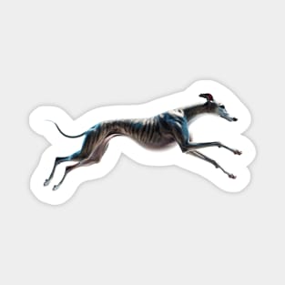 Greyhound Magnet