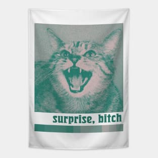 Surprise, Bitch …………….... Tapestry