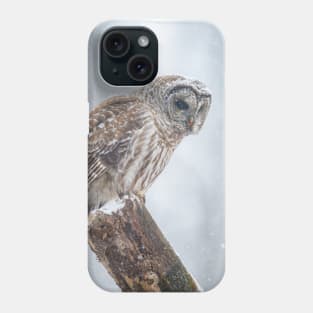 Barred Owl Phone Case