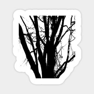 Tree, in black and white line drawing. Magnet