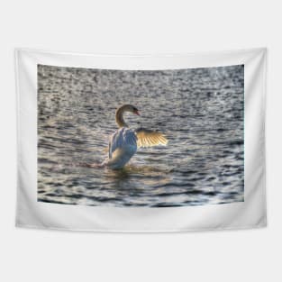 Mute Swan Tapestry