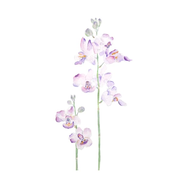 purple orchid watercolor by colorandcolor