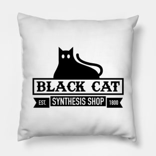 Black Cat Synthesis Shop Pillow