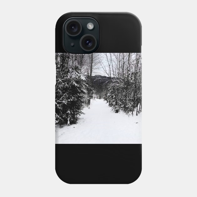 Snowy Trail Phone Case by RobertsArt