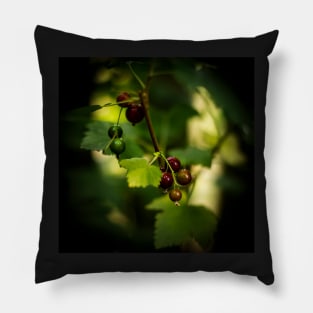 Blackcurrant Berries Pillow