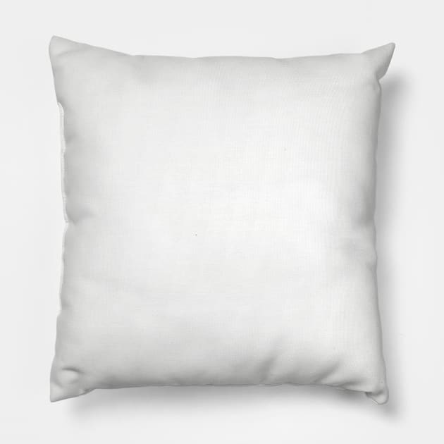 Solana Cryptocurrency Pillow by blueduckstuff