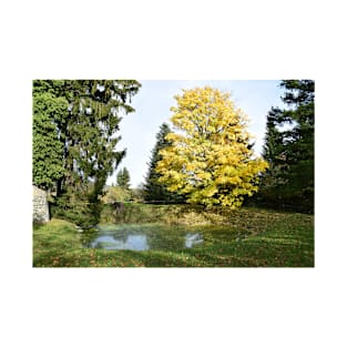 Tree by the lake again in autumn in Burgenland T-Shirt