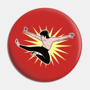 Bruce Can Fly! Pin