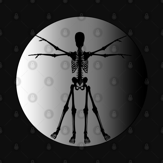 Vitruvian Man Skeleton by Slightly Unhinged