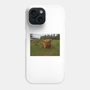 Scottish Highland Cattle Bulls 2037 Phone Case