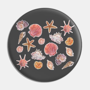 Season of Shells Pin