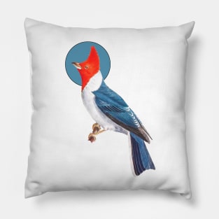 cardinal bird Pillow