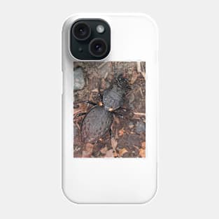 Greater Night-stalking Tiger Beetle Phone Case