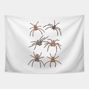 Huntsman Spider Pattern Tapestry