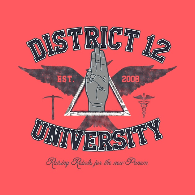 District 12 University by Arinesart