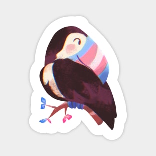 Trans Pride Toucan Magnet