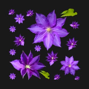 Purple Clematis Pattern T-Shirt