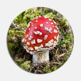 Mushroom Toadstool Forest Nature Pin