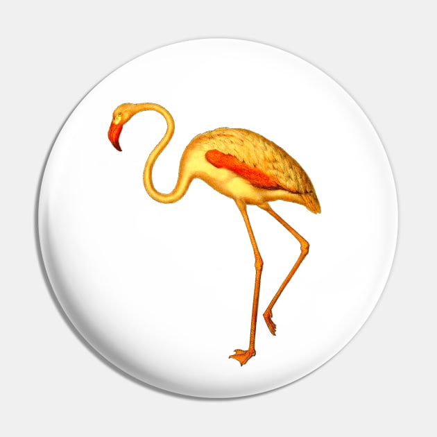 Flamingo Pin by Marccelus