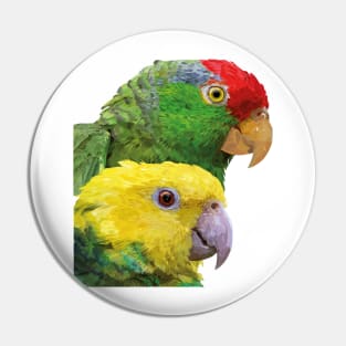 Equal-headed Amazon and Tamaulipeca Amazon Pin