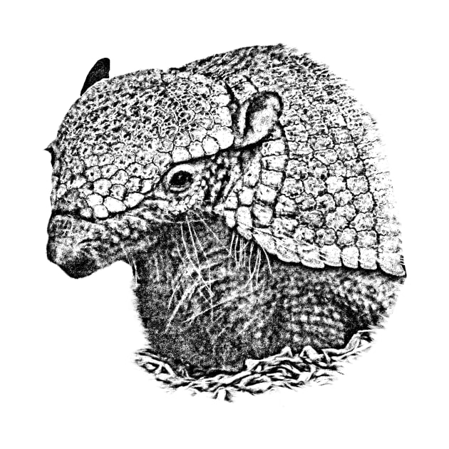 Armadillo by Guardi