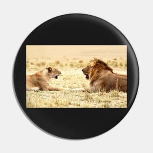 Post-coital Conversation, Lions, Maasai Mara, Kenya Pin